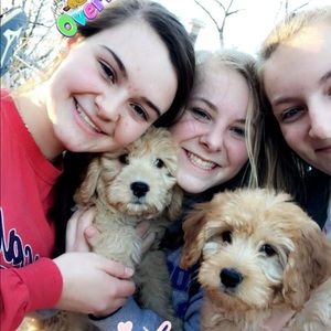 Meet your Posher, Mary